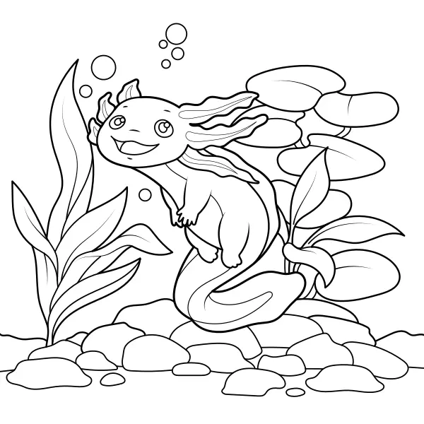 Axolotl | Kolorowanki online dla dzieci
