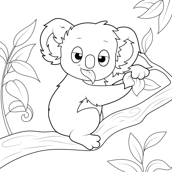 Koala | Kolorowanki online dla dzieci