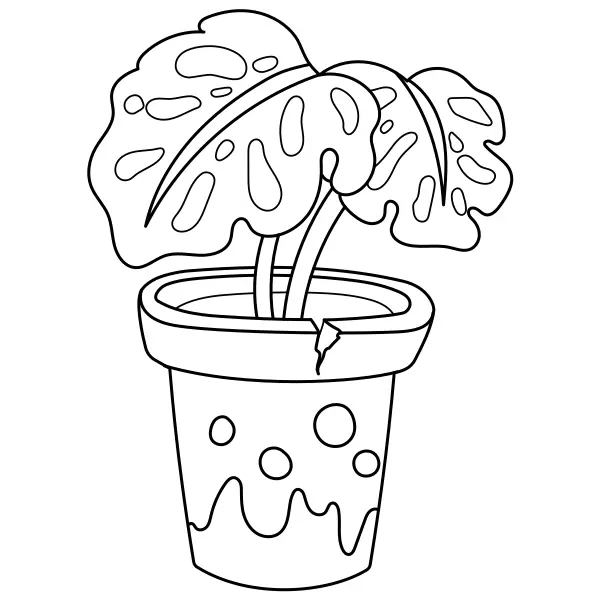 Roślina Monstera | Kolorowanki online dla dzieci